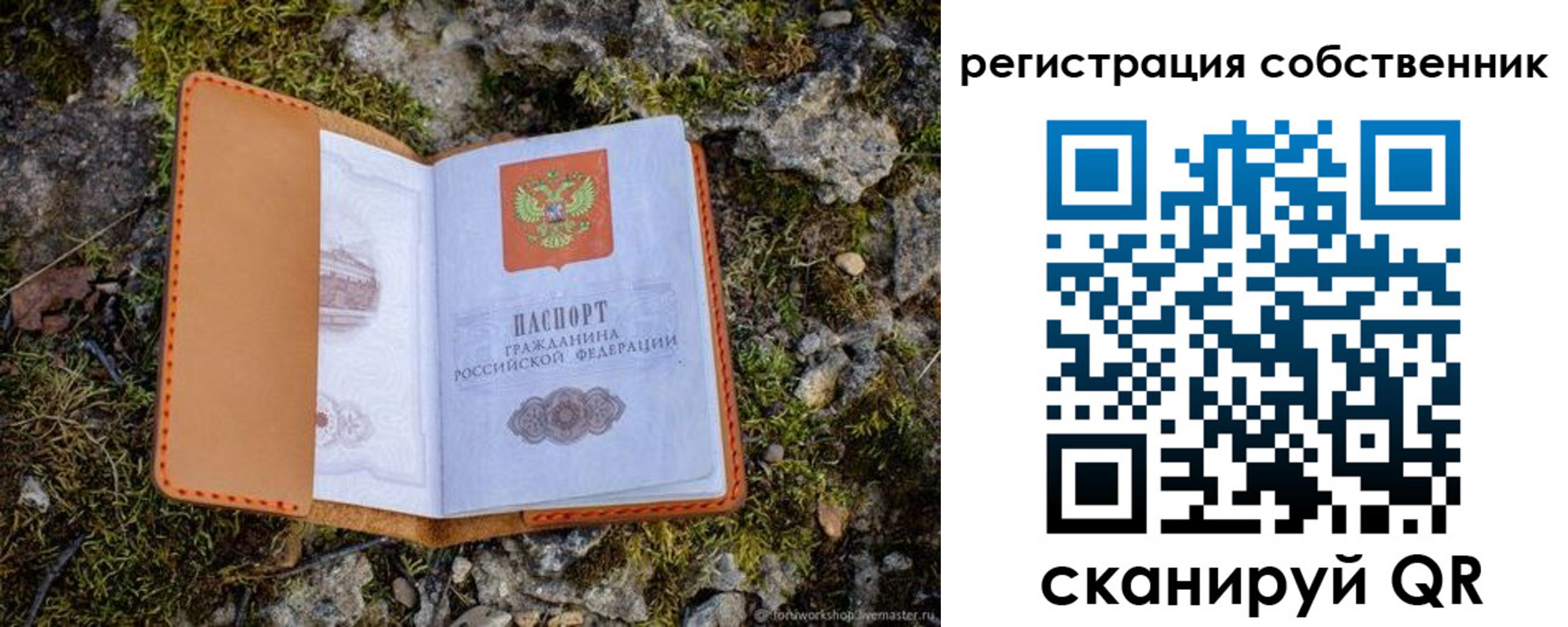 прописка поиск в Выборге